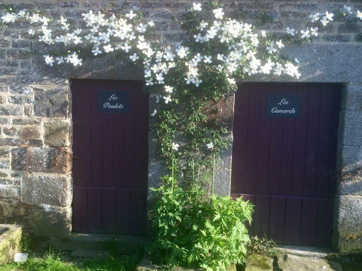 La Crepelliere Bed & Breakfast Villedieu-les-Poeles-Rouffigny Luaran gambar